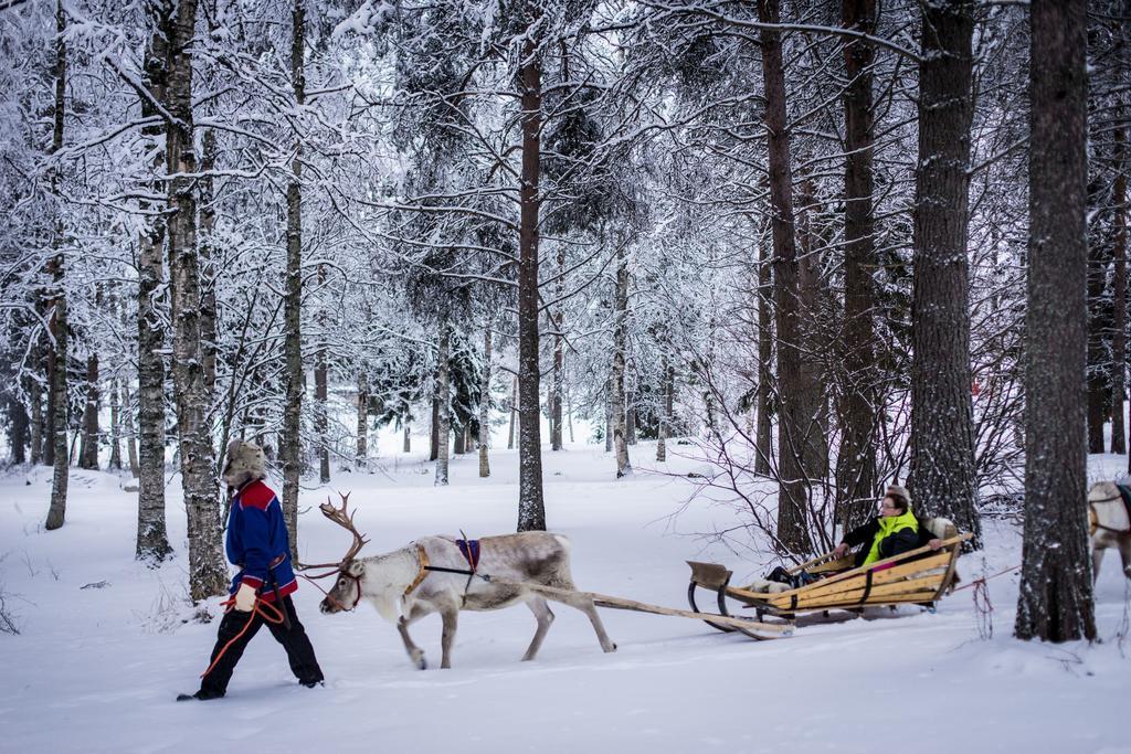 Lapland Igloo Hotel Ranua Exterior photo