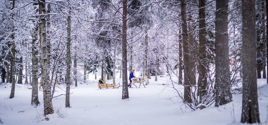 Lapland Igloo Hotel Ranua Exterior photo